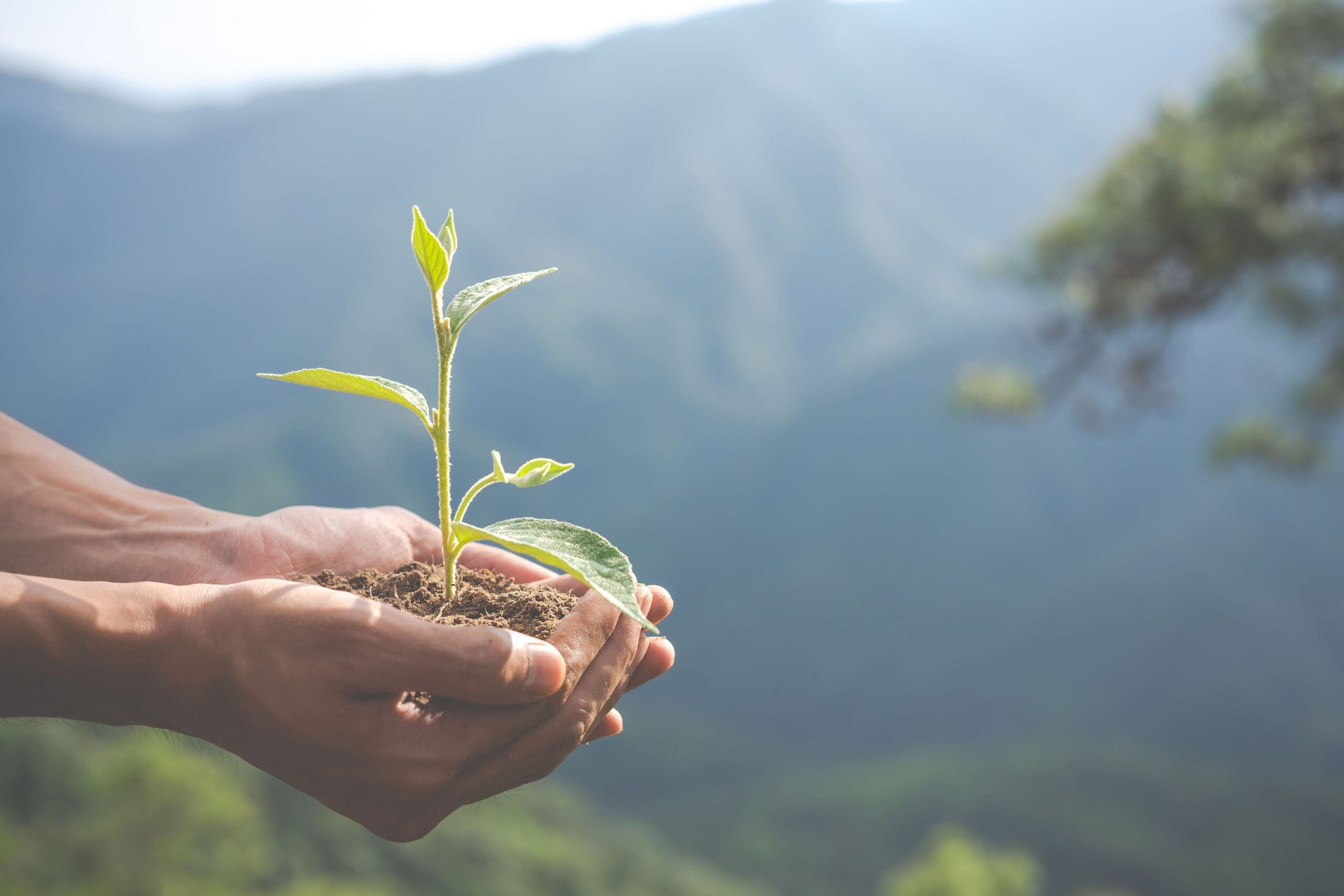 Erfahren Sie alles über das Umweltmanagement nach ISO 14001